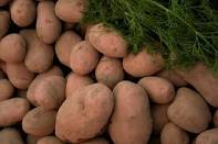 PRODUCTOS AGRICOLAS